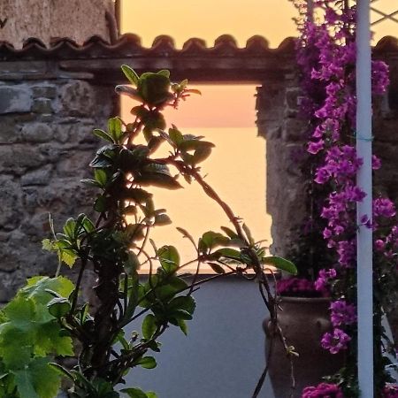 Residenza D'Epoca Olimpia Hotel Santa Maria di Castellabate Ngoại thất bức ảnh